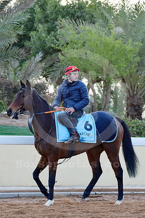 230222C906RIAD