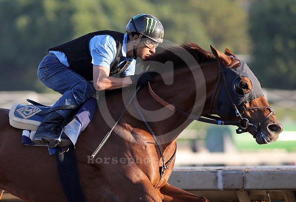 accelerate25_cg 1