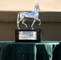 bc08_trophy01_ev