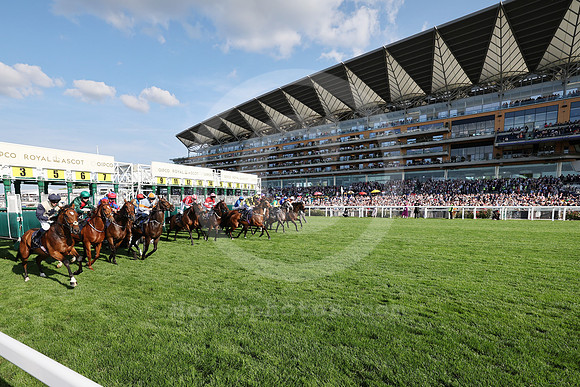 250617D607ROYAL_ASCOT