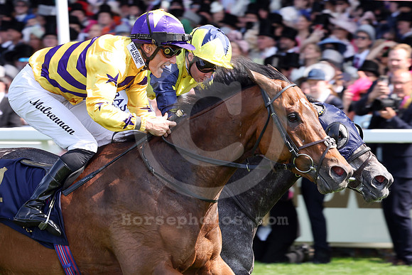 250617D530ROYAL_ASCOT