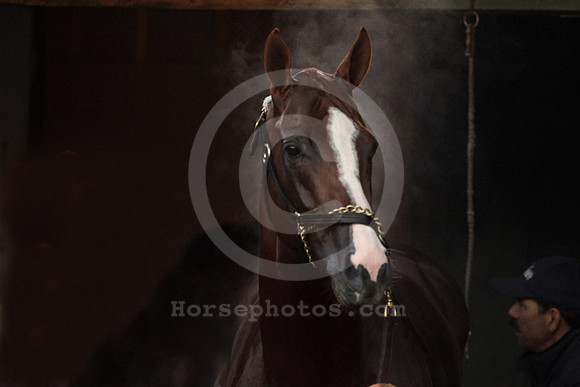 californiachrome369a_cg