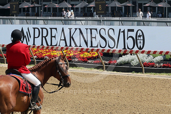 preakness_scenic12