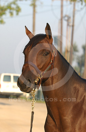 kee09_03hip508H_jd