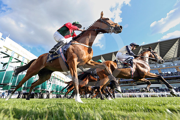 250617D609ROYAL_ASCOT
