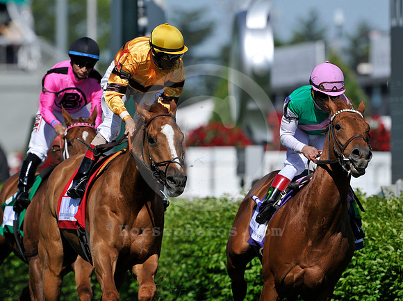 wisedan112_ljp