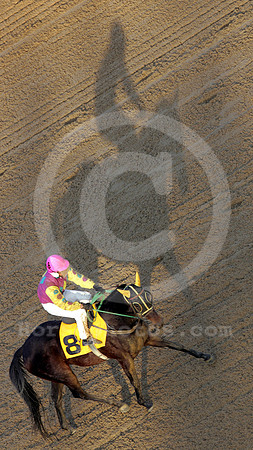 seoul_korea_80_fs