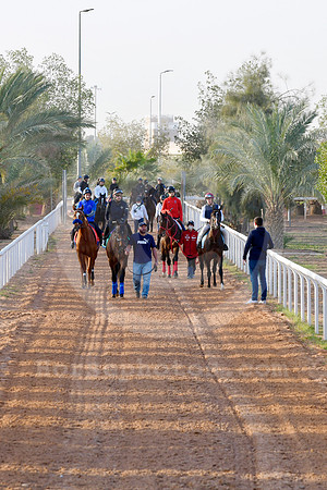 230223C906RIAD