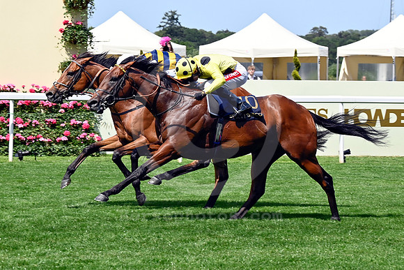250617D510ROYAL_ASCOT