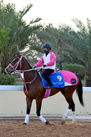 230222C909RIAD
