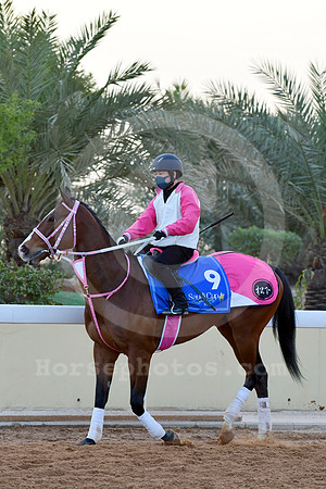 230222C909RIAD