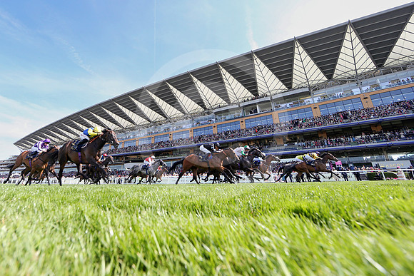 250617D487ROYAL_ASCOT