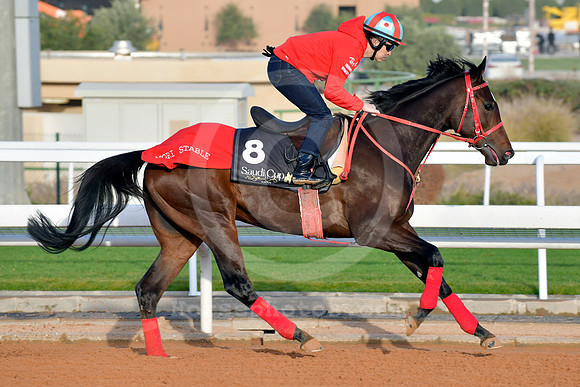 230222C931RIAD