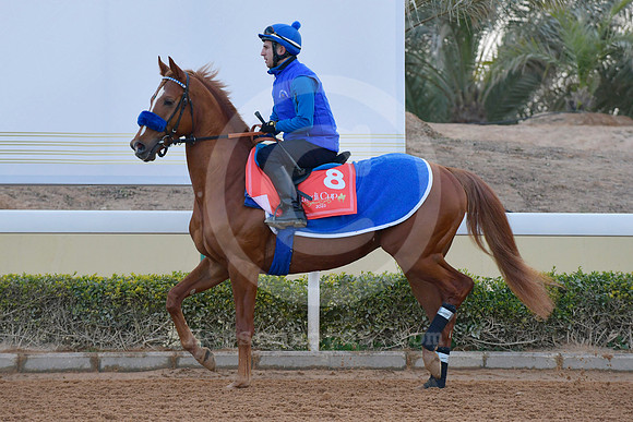 230222C911RIAD