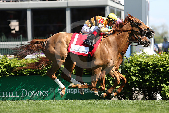 wisedan115_rn