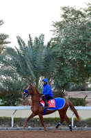 230222C912RIAD