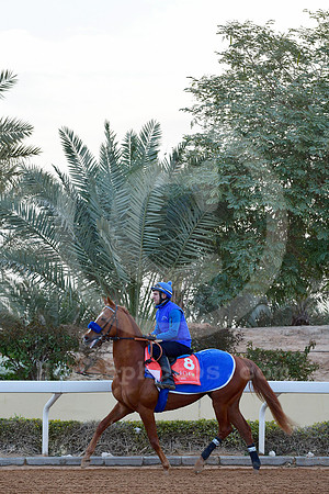 230222C912RIAD