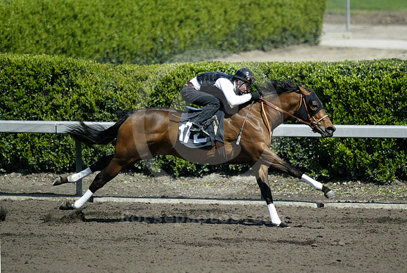 hip172_barretts05_ljp