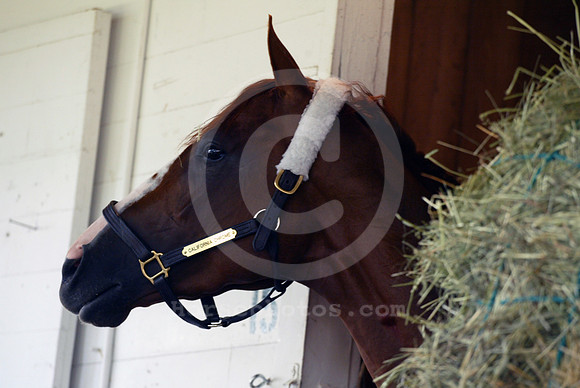californiachrome120_cg