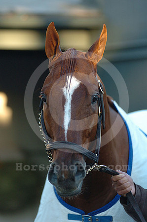 curlin_581a_hr