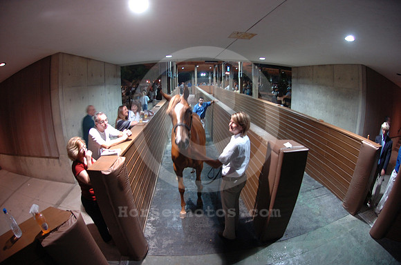 ft0807_horsesales21_jd