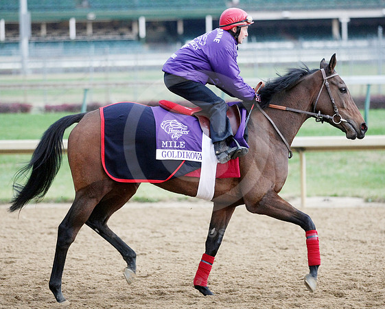 goldikova54_st
