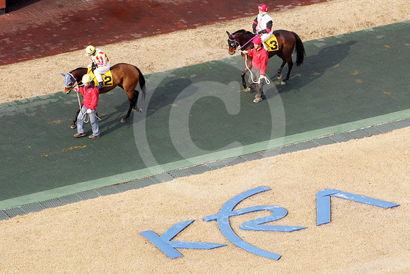 seoul_korea_31_fs
