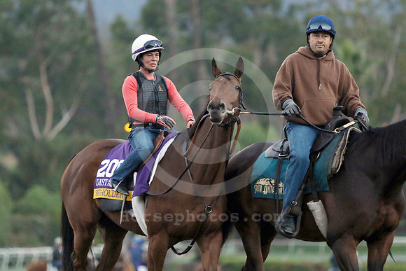 beholder381_cg