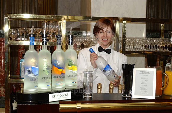 eclipse05_greygoosebar04_hr