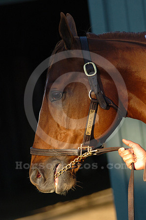 curlin_580_hr