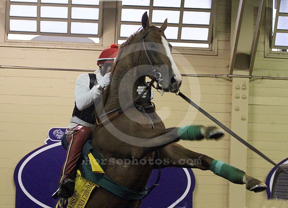 californiachrome359a_cg