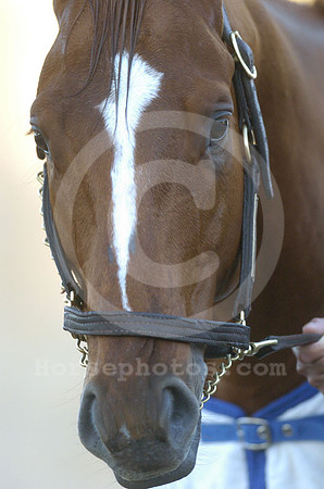 curlin_583a_hr