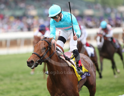ladyeli_cover_c