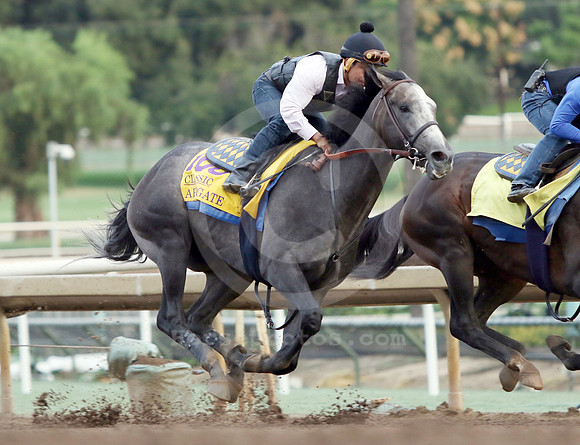 arrogate29_cg
