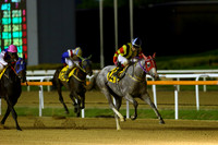 pusanracecourse05_tm