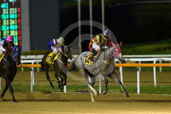 pusanracecourse05_tm