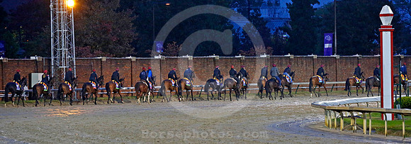aidanobrienhorses09_rn