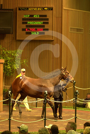 keenov00hip453