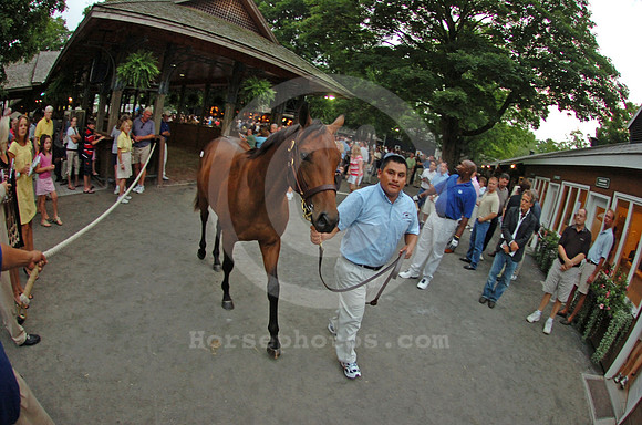 ft0807_horsesales18_jd