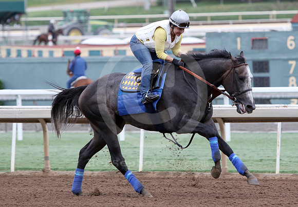 arrogate26a_cg