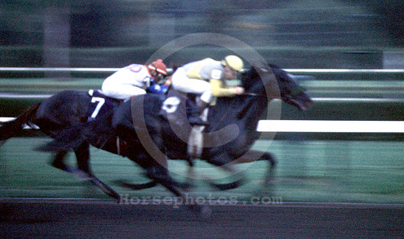 sunday silence