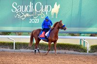 230222C922RIAD