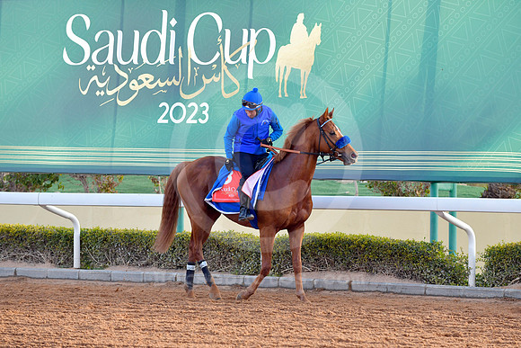 230222C922RIAD
