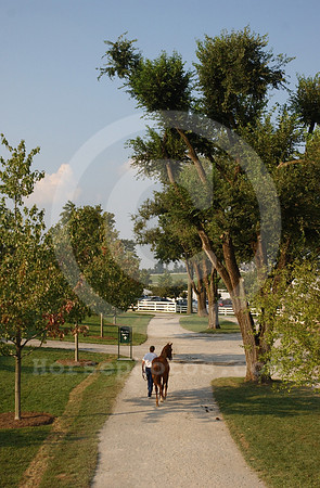 kee09_03horsepath01_jd