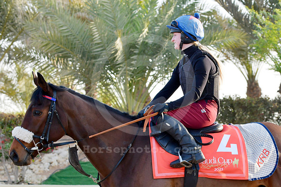 230223C911RIAD