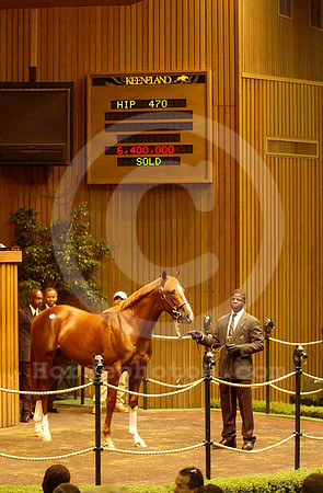 hip470_sept01_jd