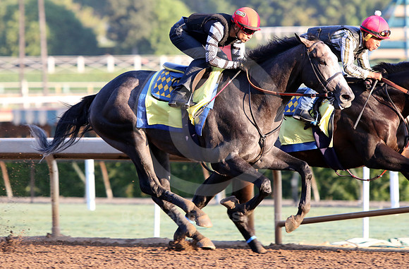 arrogate24_cg