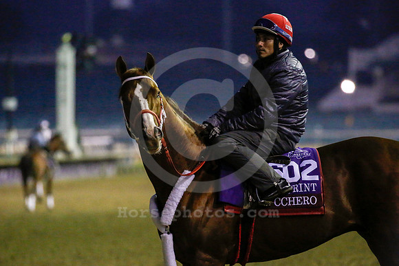 bucchero06_rn