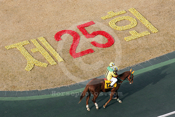 seoul_korea_33_fs