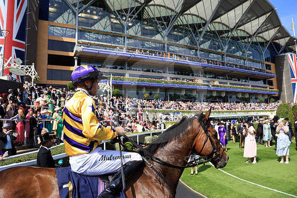 250617D535ROYAL_ASCOT